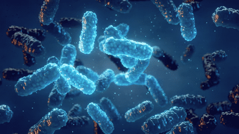Board Opportunity for Senior Leaders, join the Board of a Trailblazing Biotech Company