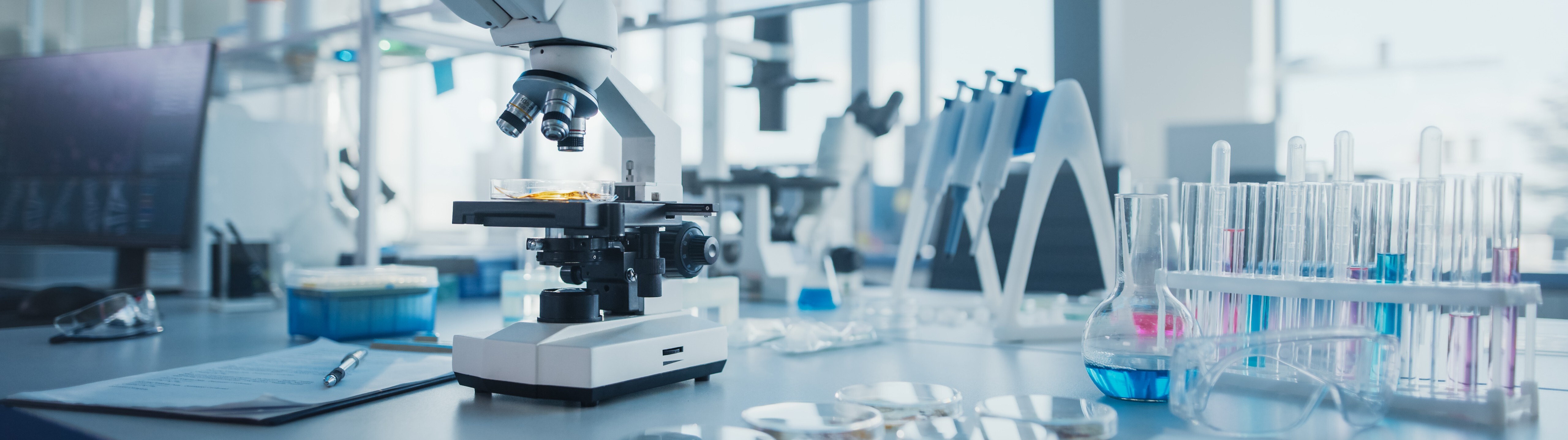 shutterstock_1924512428-1