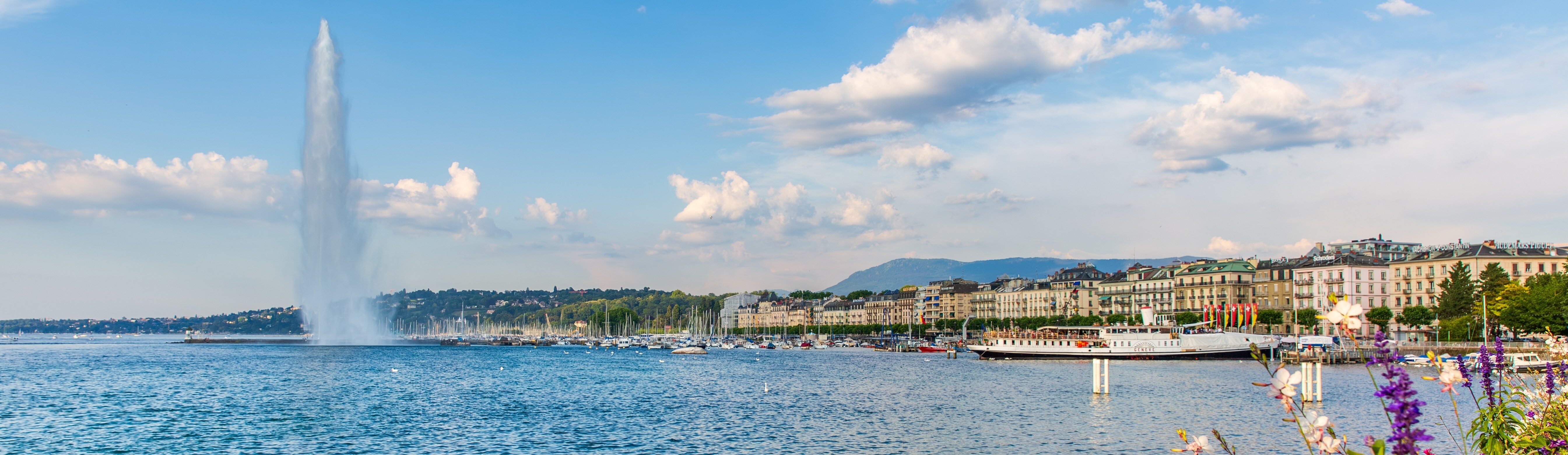 shutterstock_2674255877-2